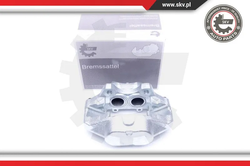Brake Caliper (45SKV501)