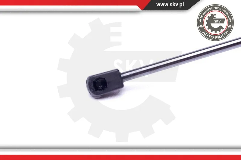 Gas Spring, boot/cargo area