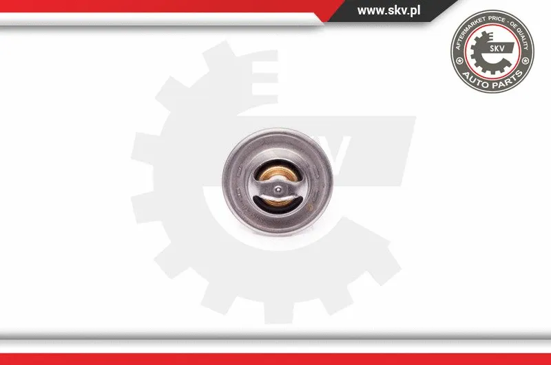 Thermostat, coolant