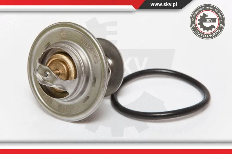 Thermostat, coolant (20SKV003)