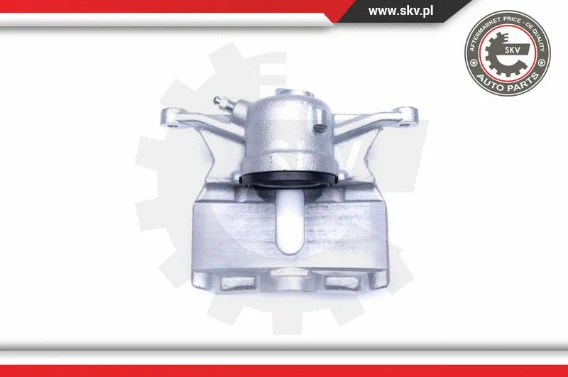 Brake Caliper (44SKV371)