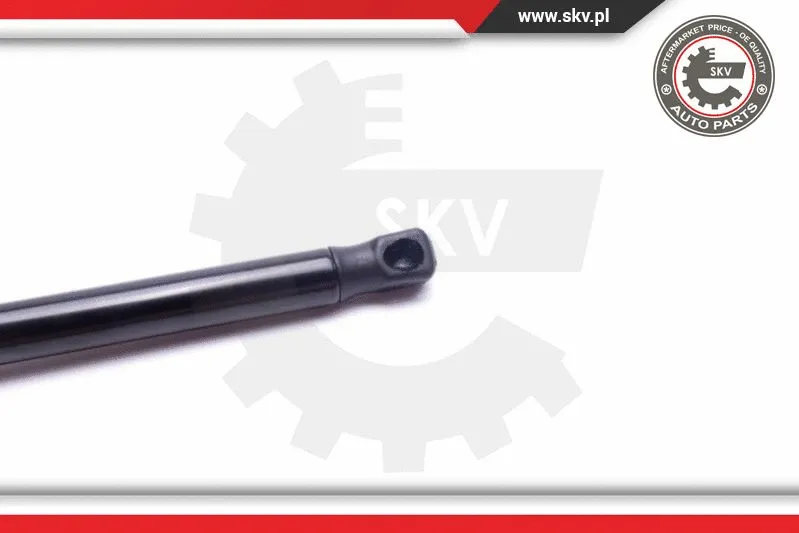 Gas Spring, boot/cargo area