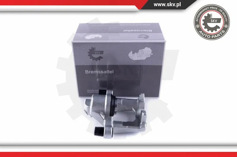 Brake Caliper (55SKV323)