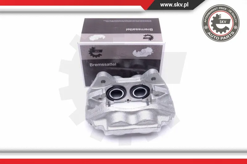 Brake Caliper (50SKV151)