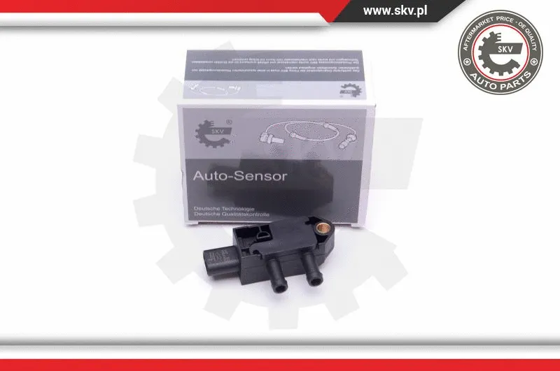 Sensor, exhaust pressure (17SKV354)