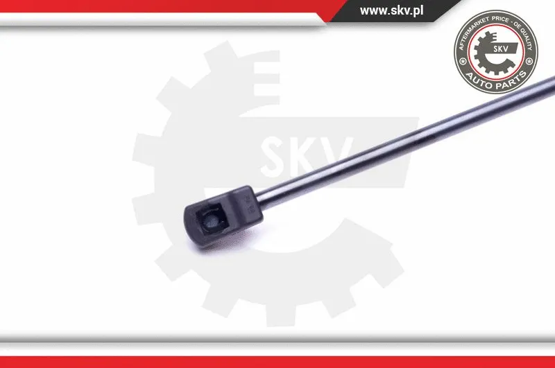 Gas Spring, boot/cargo area