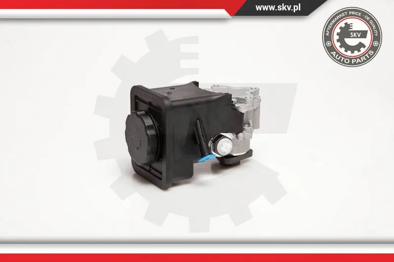Hydraulic Pump, steering (10SKV012)