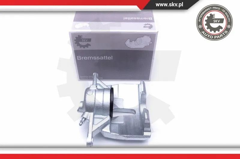 Brake Caliper (44SKV401)