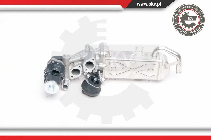 EGR Valve (14SKV094)