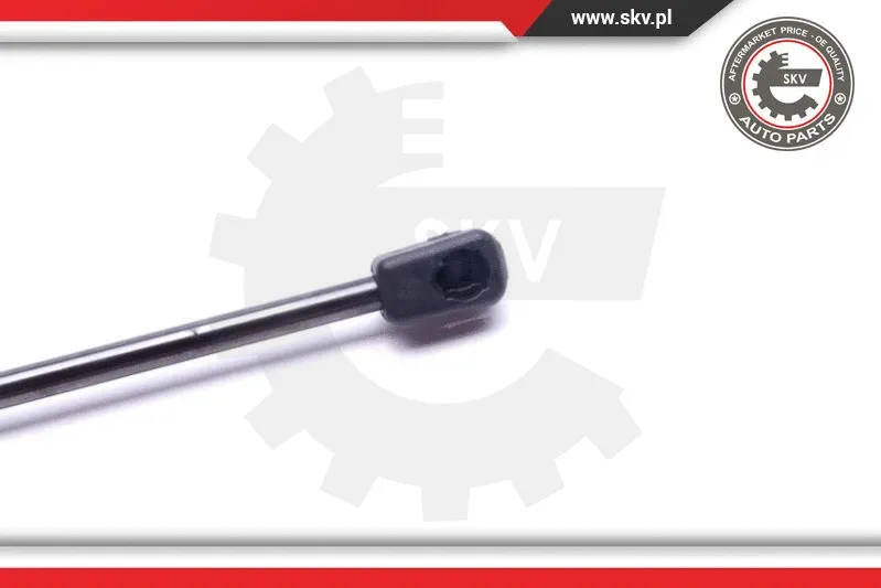 Gas Spring, boot/cargo area