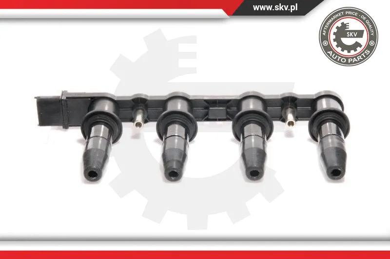 Ignition Coil (03SKV123)