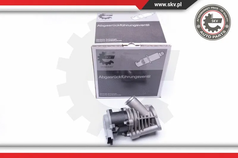 EGR Valve (14SKV173)