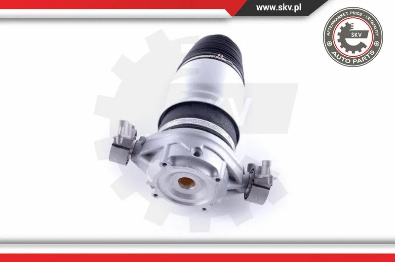 Air Spring, suspension