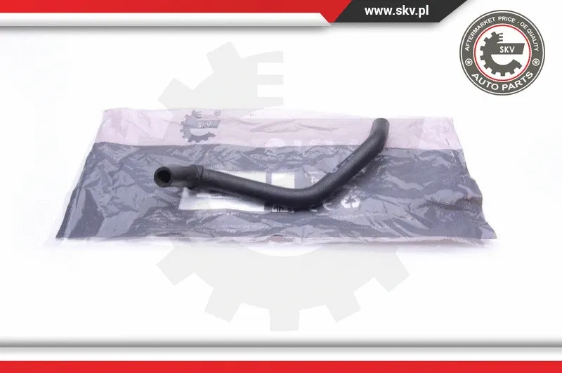 Radiator Hose (24SKV369)