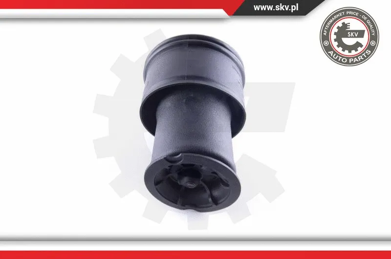 Air Spring, suspension