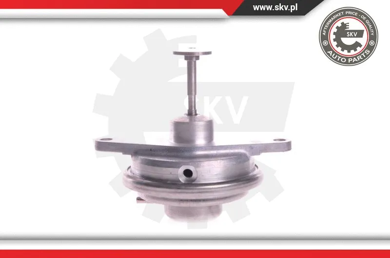 EGR Valve