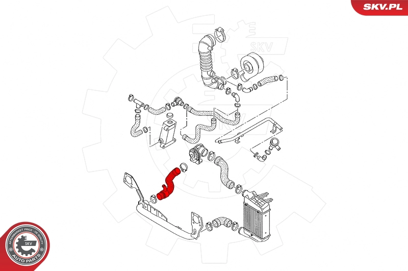 Charge Air Hose