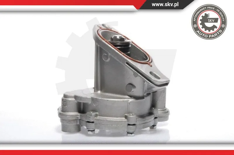 Vacuum Pump, braking system (18SKV009)
