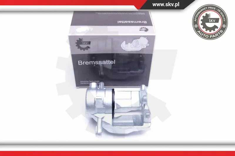 Brake Caliper (44SKV141)