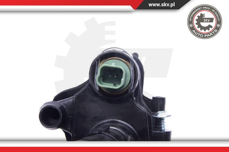 Thermostat, coolant
