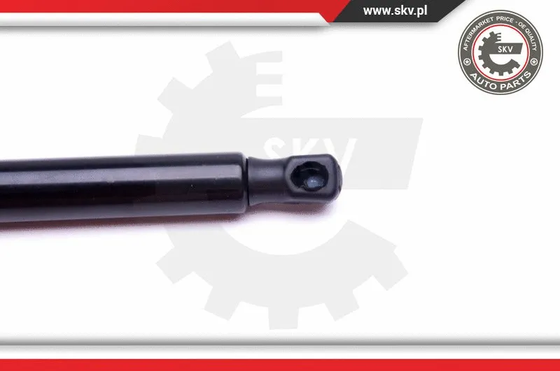 Gas Spring, boot/cargo area