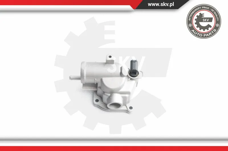 Thermostat, coolant