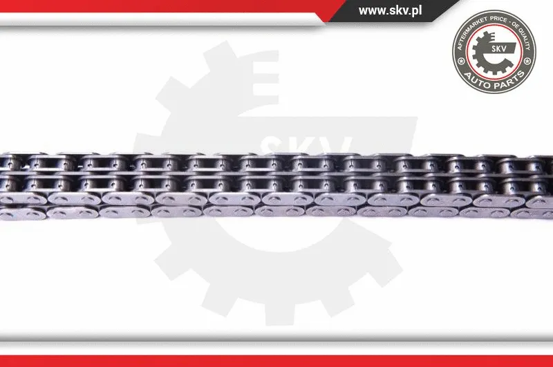 Timing Chain Kit