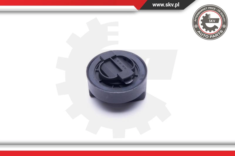 Sealing Cap, oil filler neck