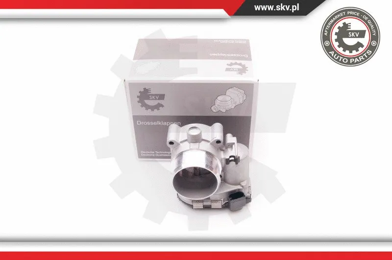 Throttle Body (12SKV065)