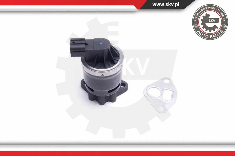 EGR Valve