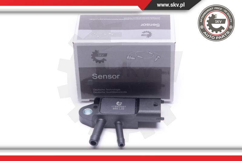 Sensor, exhaust pressure (17SKV667)
