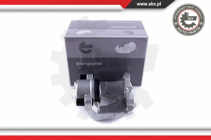 Brake Caliper (55SKV251)