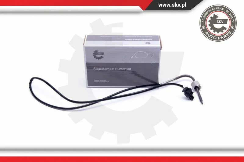 Sensor, exhaust gas temperature (30SKV441)