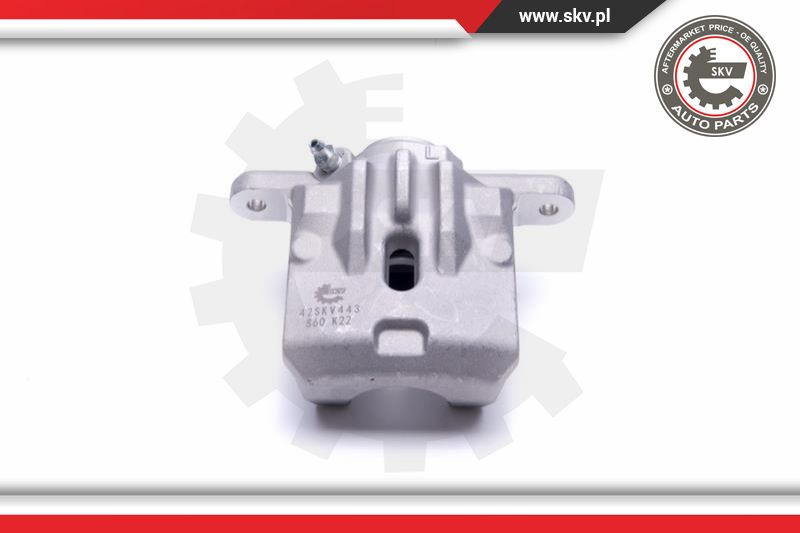 Brake Caliper