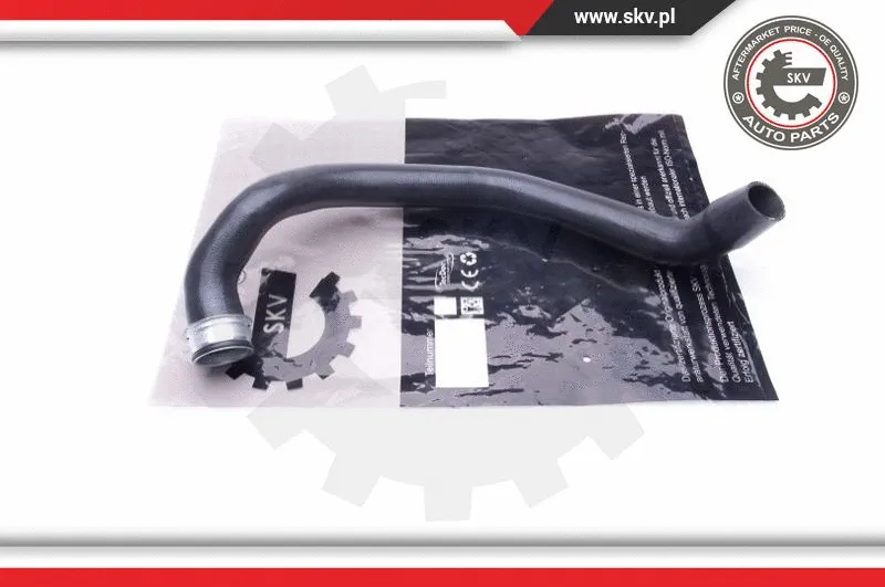 Radiator Hose (43SKV668)