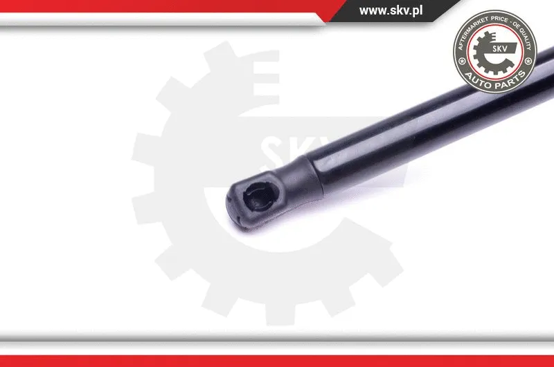 Gas Spring, boot/cargo area