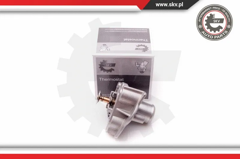 Thermostat, coolant (20SKV069)