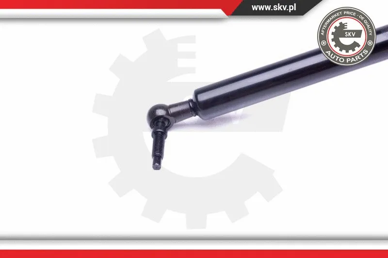 Gas Spring, boot/cargo area