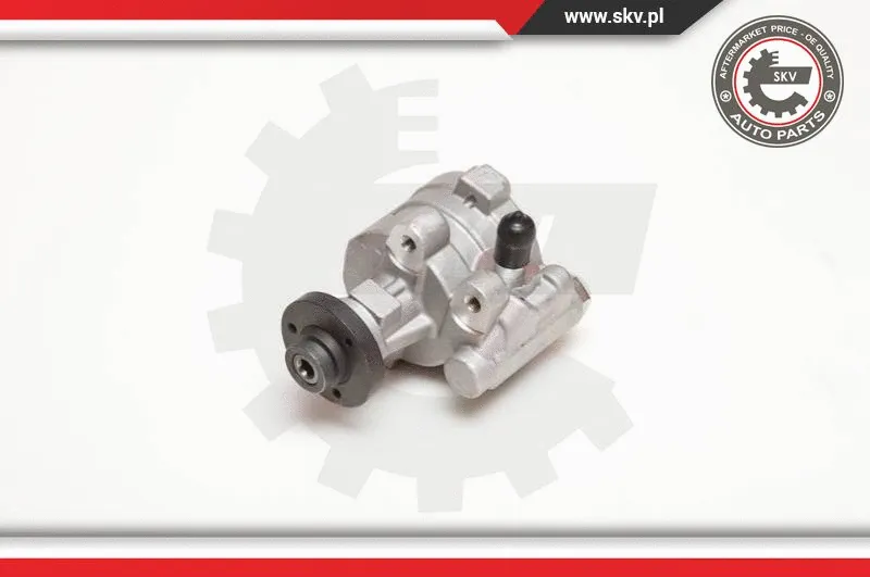 Hydraulic Pump, steering (10SKV054)