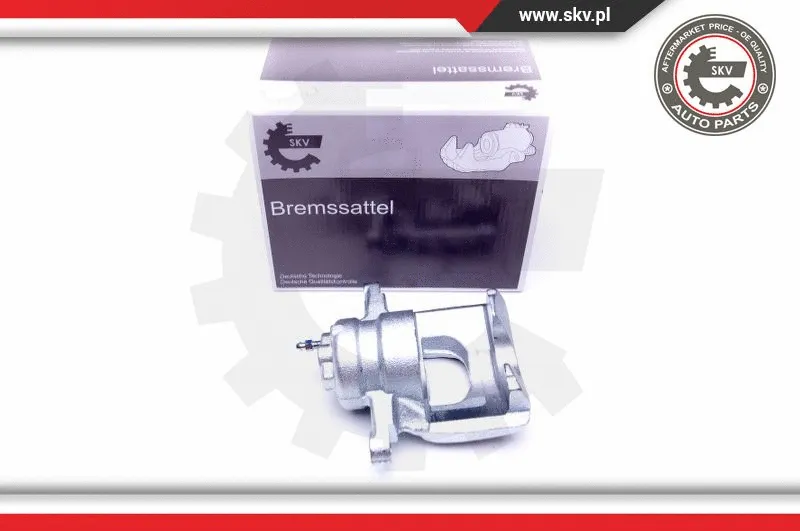 Brake Caliper (44SKV002)