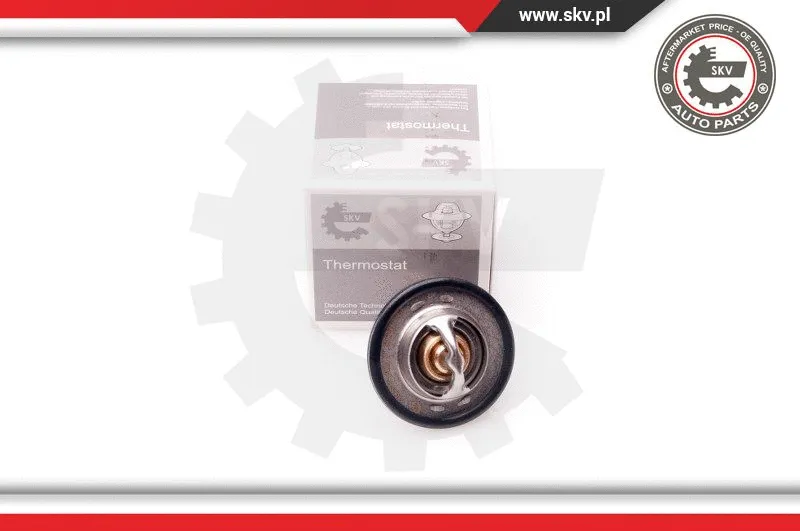 Thermostat, coolant (20SKV047)
