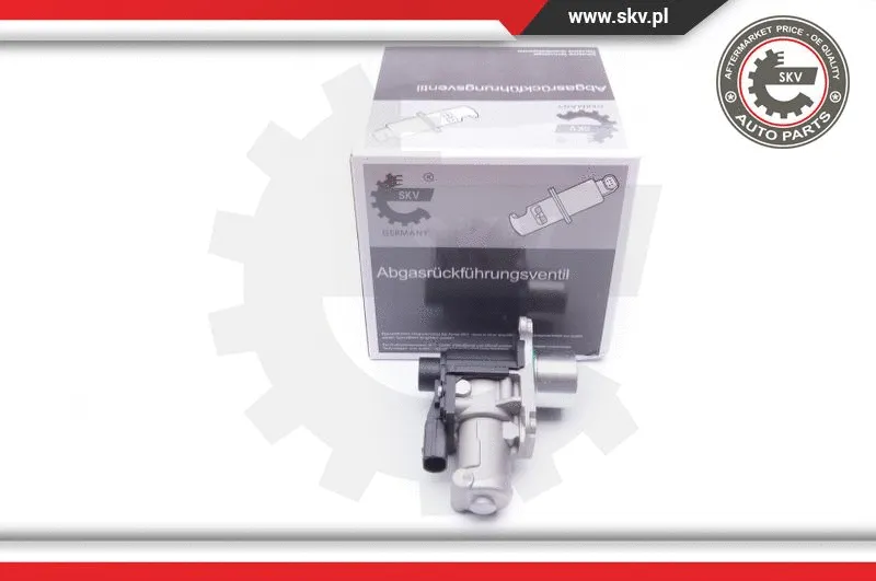 EGR Valve (14SKV170)