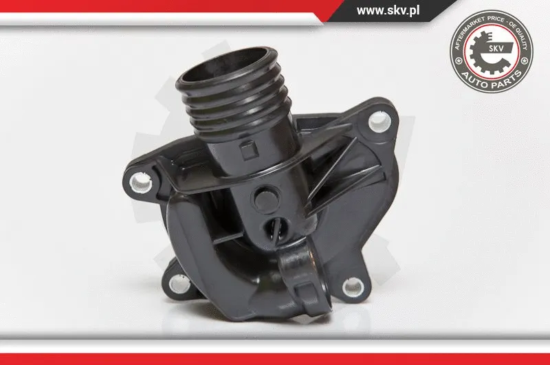 Thermostat, coolant