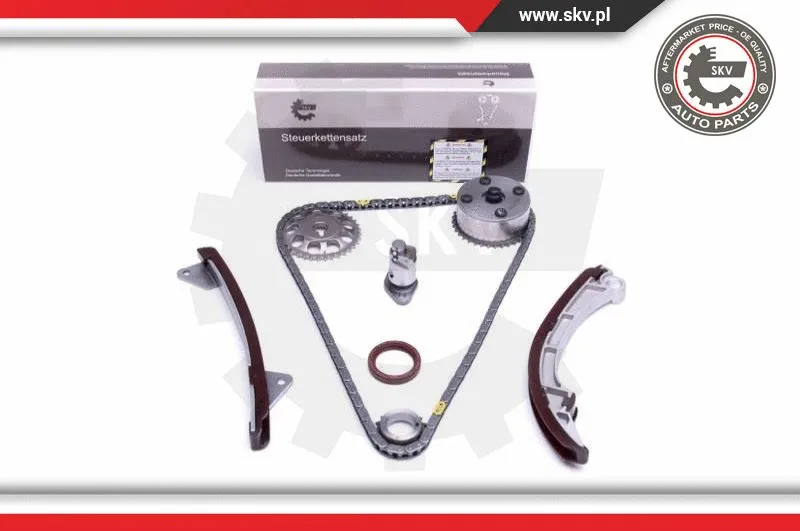 Timing Chain Kit (21SKV215)