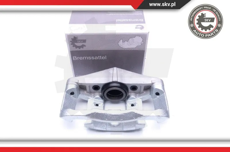 Brake Caliper (44SKV122)