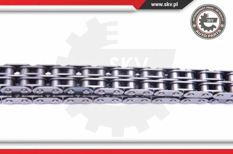 Timing Chain Kit