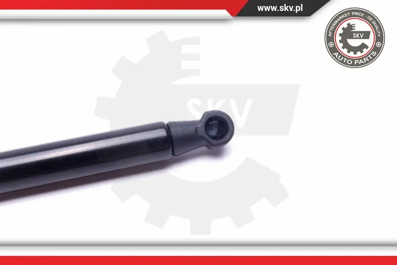 Gas Spring, boot/cargo area