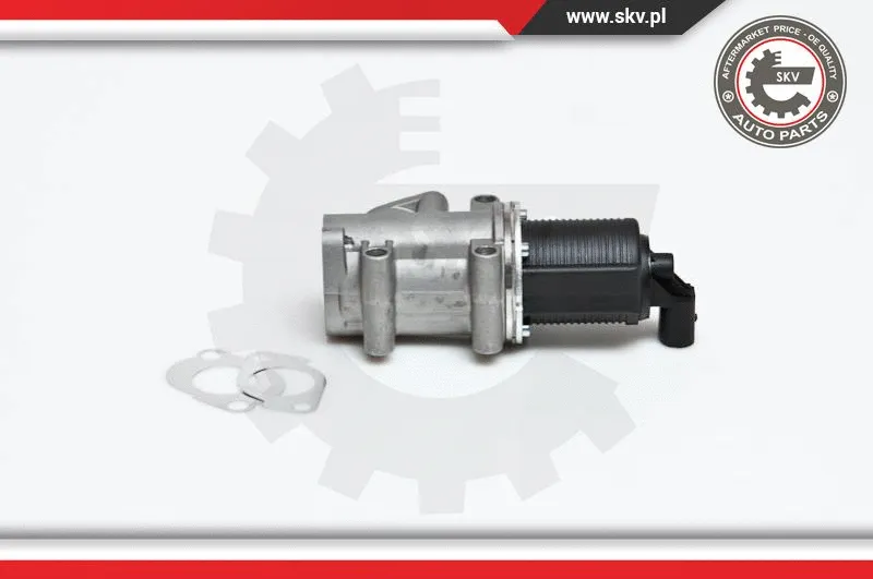EGR Valve