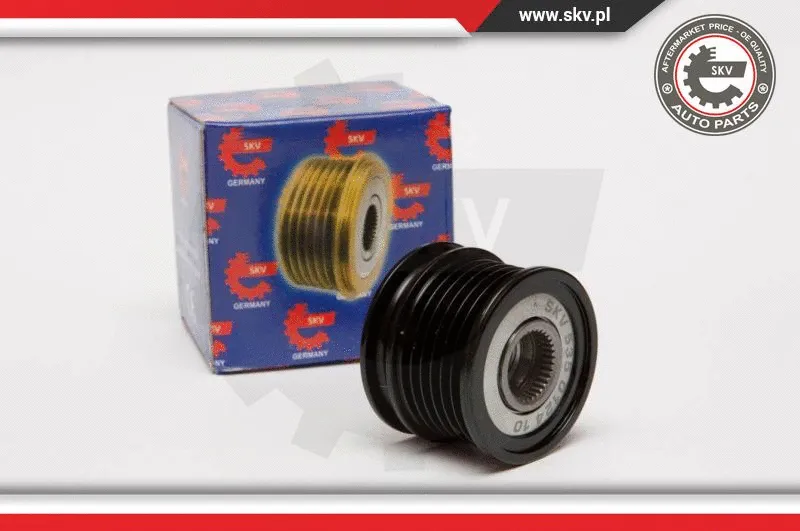 Alternator Freewheel Clutch (11SKV052)