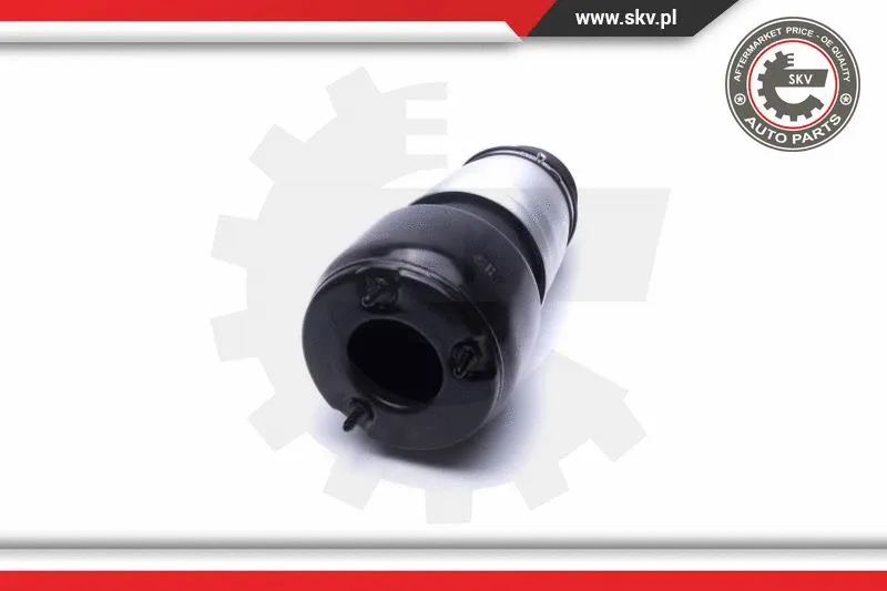 Air Suspension Strut